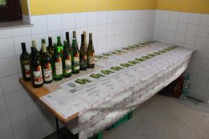 Dan odprte kleti in razglasitev protokolarnega vina 2